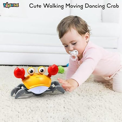 Cute Walking Moving Dancing Crab Learning Crawl