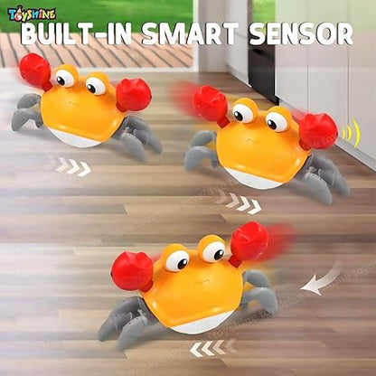 Cute Walking Moving Dancing Crab Learning Crawl