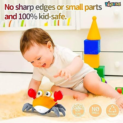 Cute Walking Moving Dancing Crab Learning Crawl