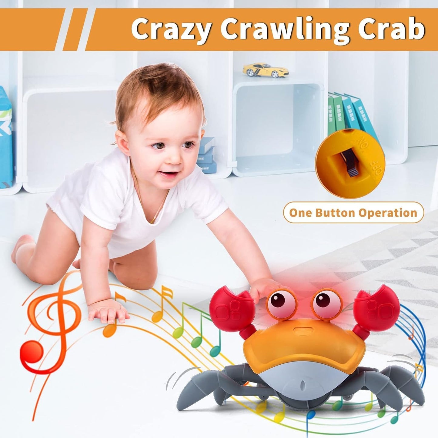 Cute Walking Moving Dancing Crab Learning Crawl