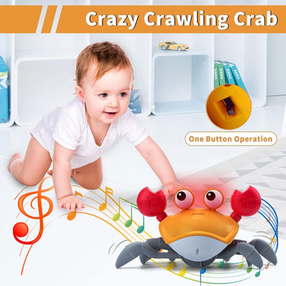 Cute Walking Moving Dancing Crab Learning Crawl