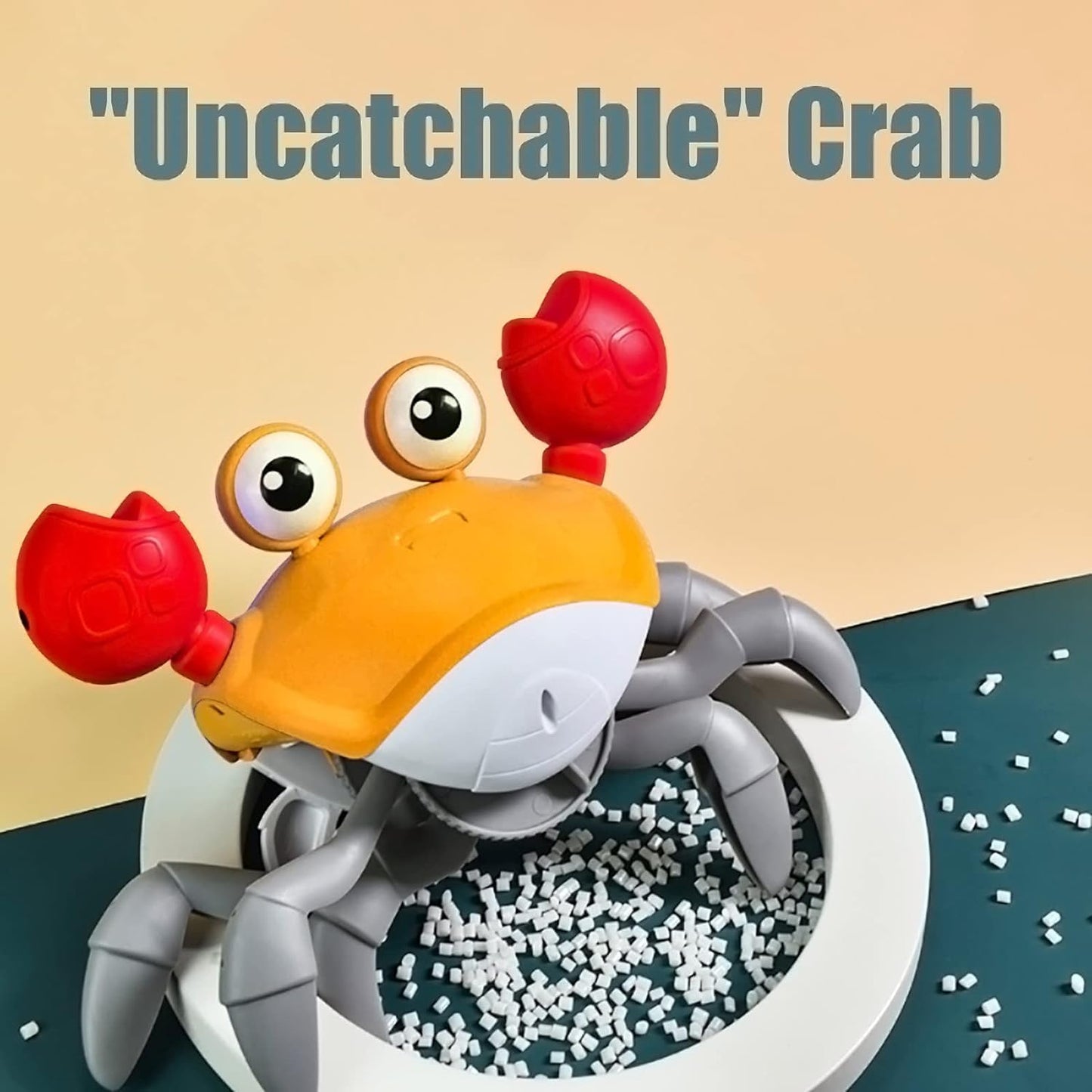 Cute Walking Moving Dancing Crab Learning Crawl